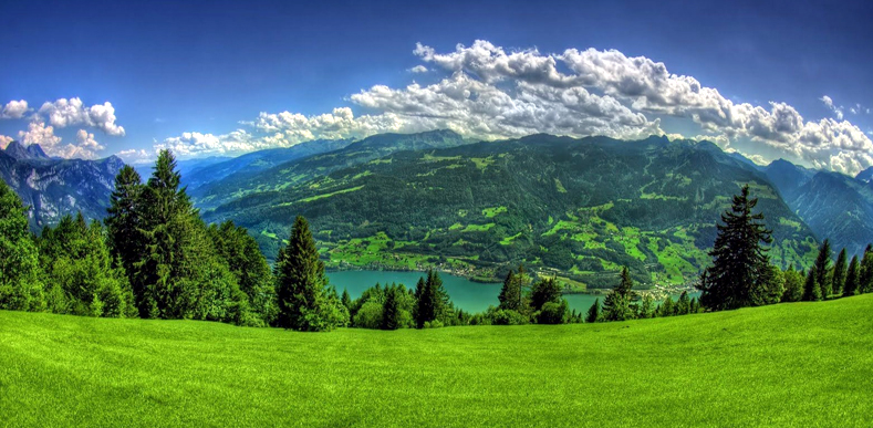 North East Delight With Kalimpong North East Delight With Kalimpong