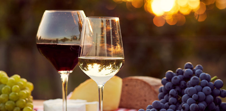 India Wine Tour India Wine Tour