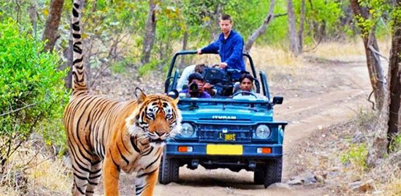 Delhi-Corbett National Park Weekend Tour Delhi-Corbett National Park Weekend Tour